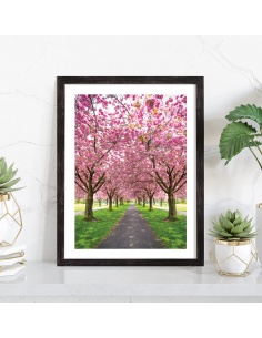 Affiche Cerisiers en fleur Sakura 2