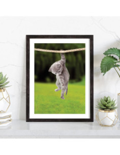 Affiche Chat drôle suspendu 2