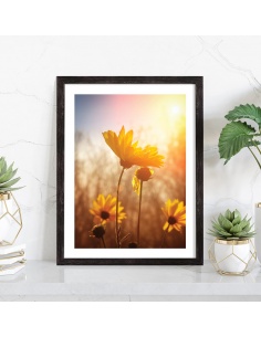 Tableau fleurs Tournesol au soleil 2