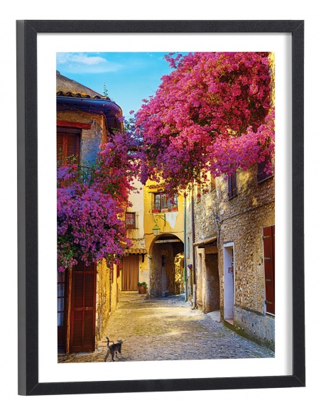 Tableau Ruelle fleurs violettes