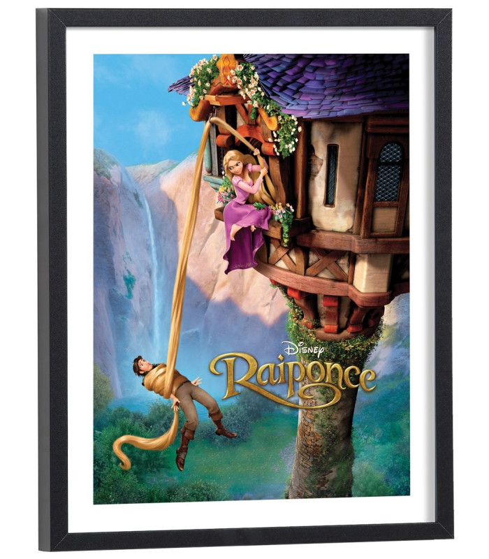 Affiche film Raiponce Disney Pixar