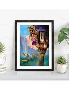 Affiche film Raiponce Disney Pixar 2
