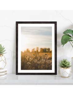 Tableau nature Champ en fleurs 2