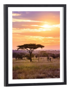 Tableau Coucher de soleil dans la savane