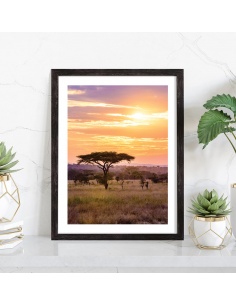 Affiche Coucher de soleil dans la savane 2