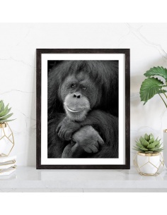 Tableau singe noir et blanc 2