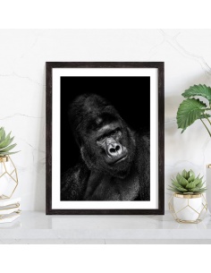Affiche singe noir et blanc 2