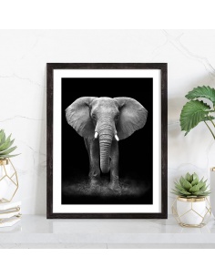 affiche éléphant noir et blanc 2