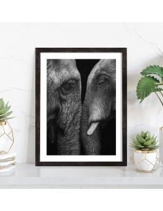 Affiche éléphant noir et blanc 2