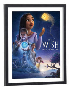 Affiche Film Wish