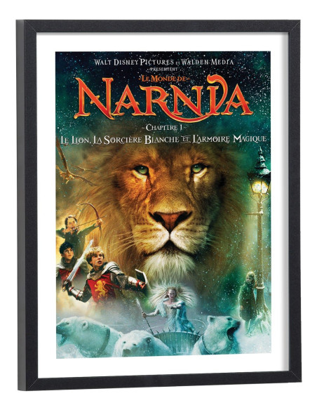 Affiche Film Le monde de Narnia