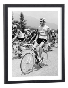 Affiche Eddy Merckx Cyclisme tour de France 1969
