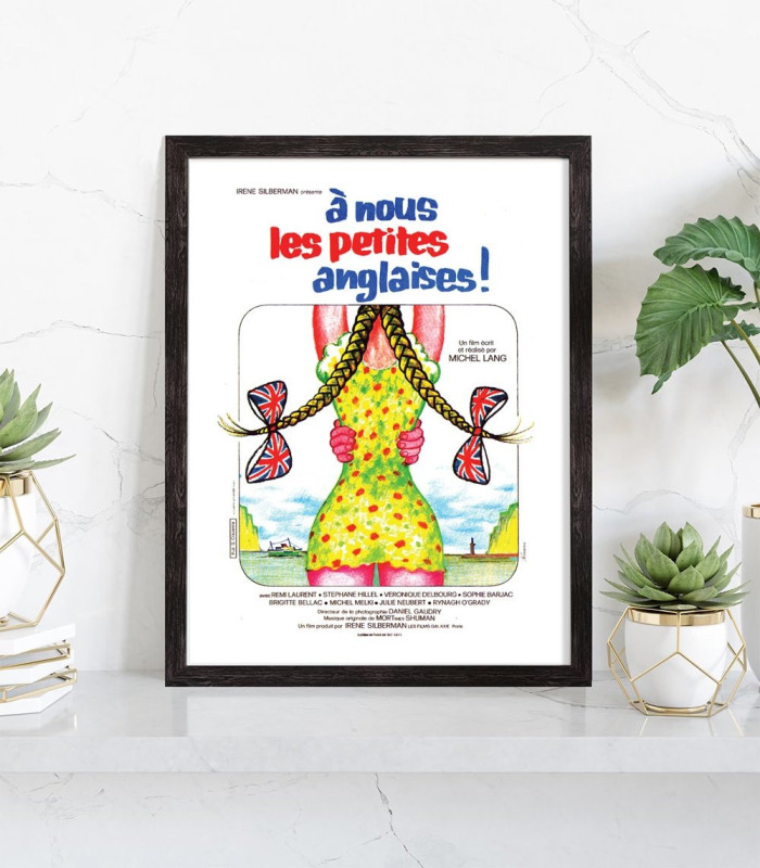 Affiche Film A nous les petites anglaises