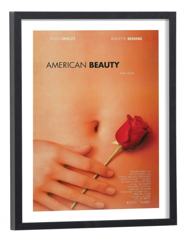 Affiche film American Beauty