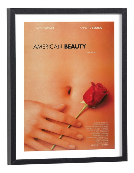 Affiche film American Beauty