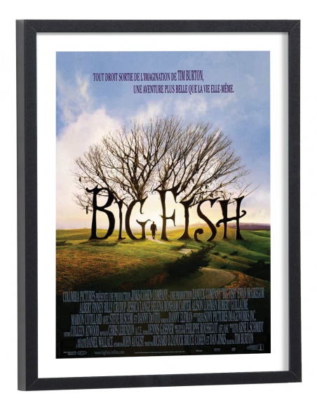 Affiche film Big Fish