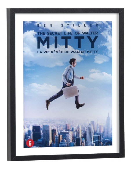 Affiche film La vie rêvée de Walter Mitty