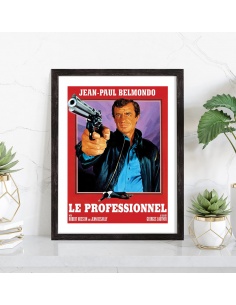 Affiche film Le professionnel 2