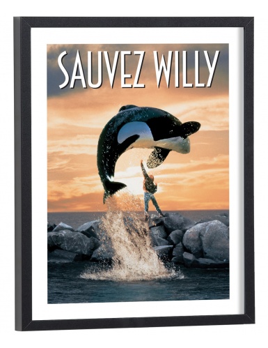 Affiche film Sauvez Willy