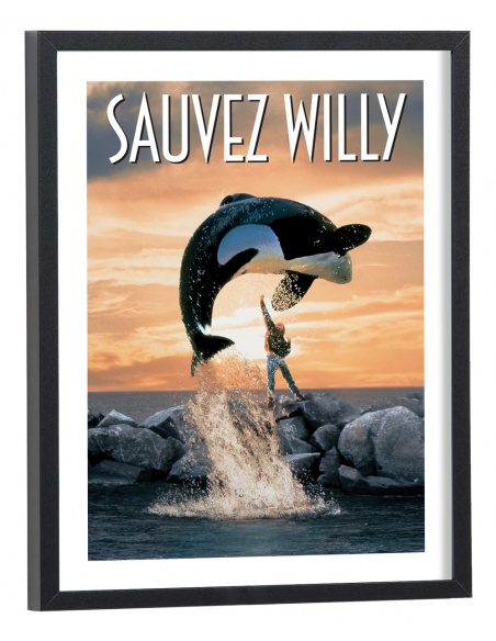 Affiche film Sauvez Willy