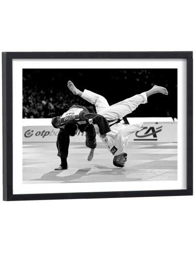 Affiche judo