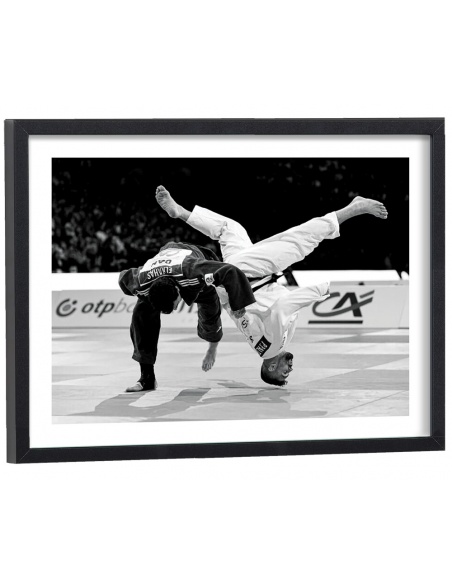 Affiche judo