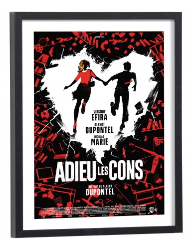 Affiche film Adieu les cons