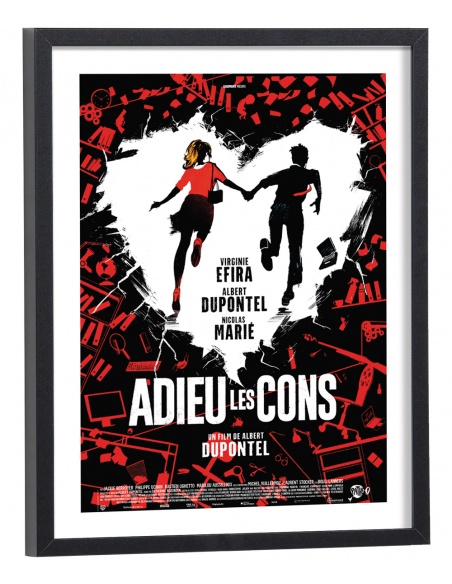 Affiche film Adieu les cons