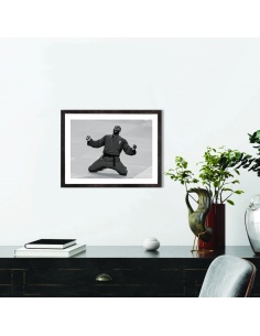 Affiche Teddy Riner Judo 2