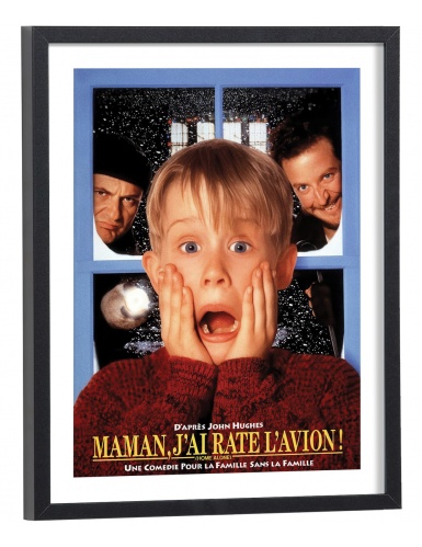 Affiche film Maman, j'ai raté l'avion