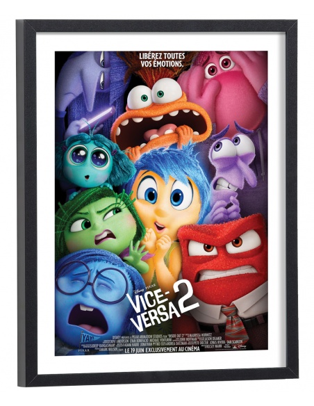 Affiche film Vice-versa 2