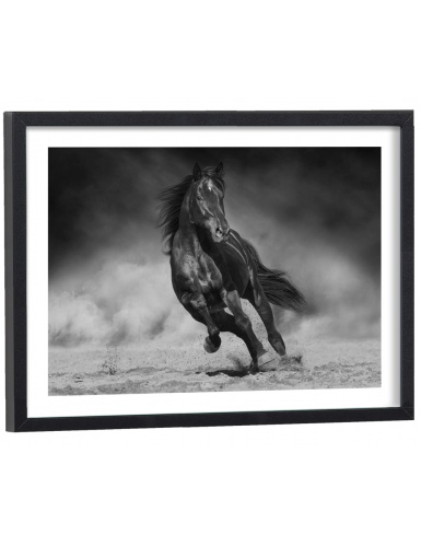 Affiche Cheval au galop