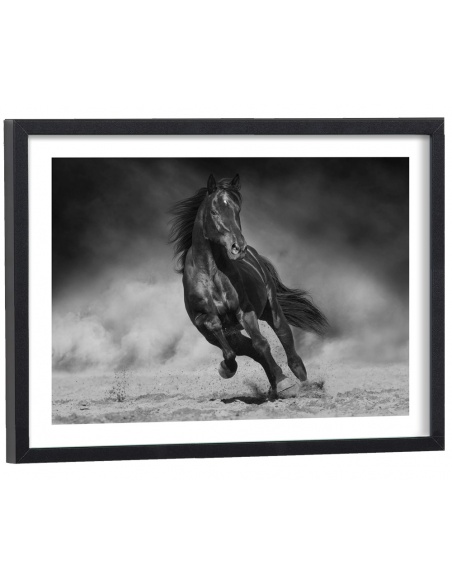 Affiche Cheval au galop