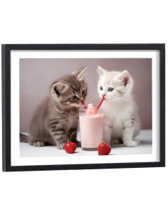 Affiche Chatons Milkshake drôle