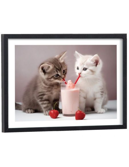 Affiche Chatons Milkshake drôle