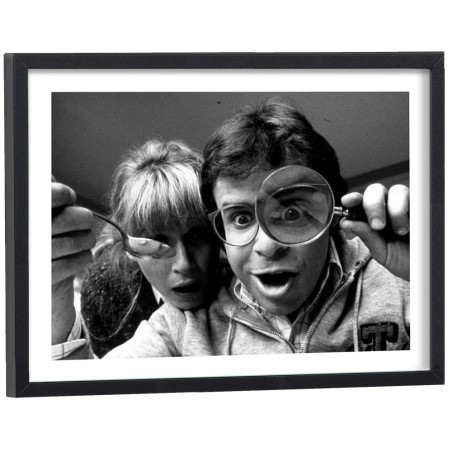 Affiche d'une scène du film Chérie, j'ai rétréci les gosses