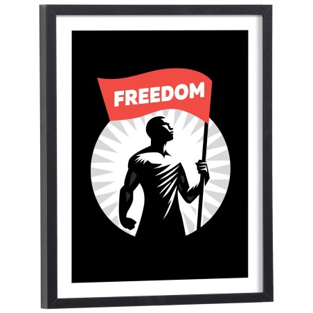 Affiche Freedom drapeau liberté vintage