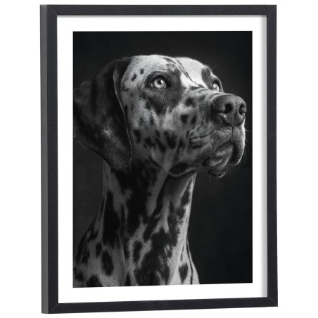 Affiche Dalmatien noir et blanc - Poster chien
