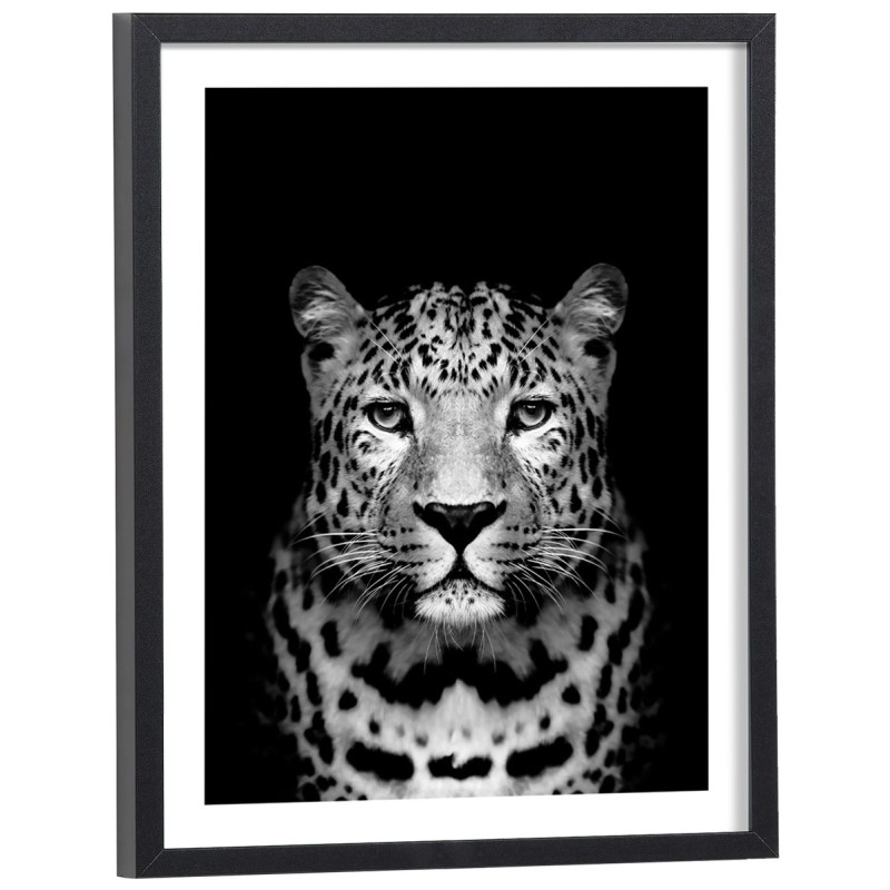 Affiche Panthère fond noir