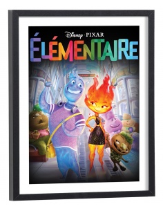 Affiche Film Elementaire