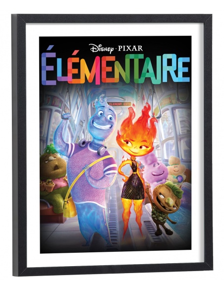 Affiche Film Elementaire