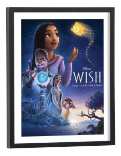 Affiche Film Wish