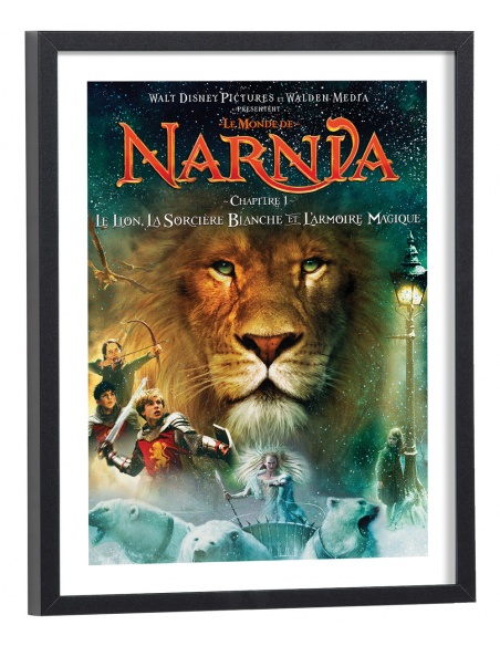 Affiche Film Le monde de Narnia