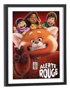 Affiche Film Alerte rouge