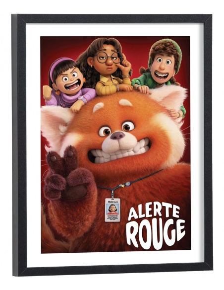 Affiche Film Alerte rouge
