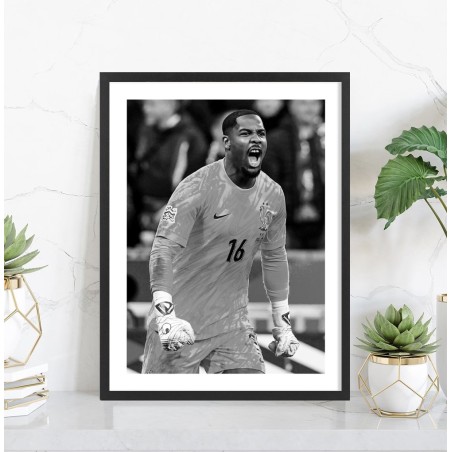 Poster Mike Maignan Equipe de France football 2026