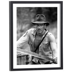 Tableau Indiana Jones