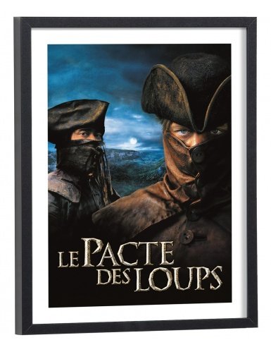 Affiche Film Le pacte des loups