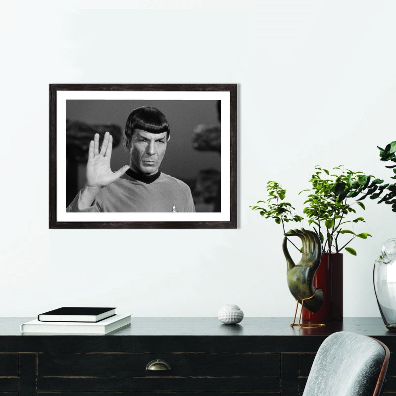 Affiche Monsieur Spock, Star Trek