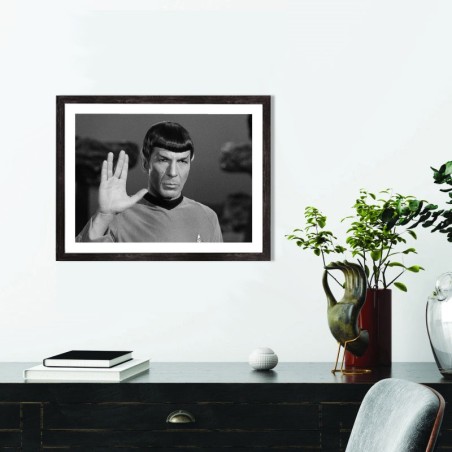 Affiche Monsieur Spock, Star Trek